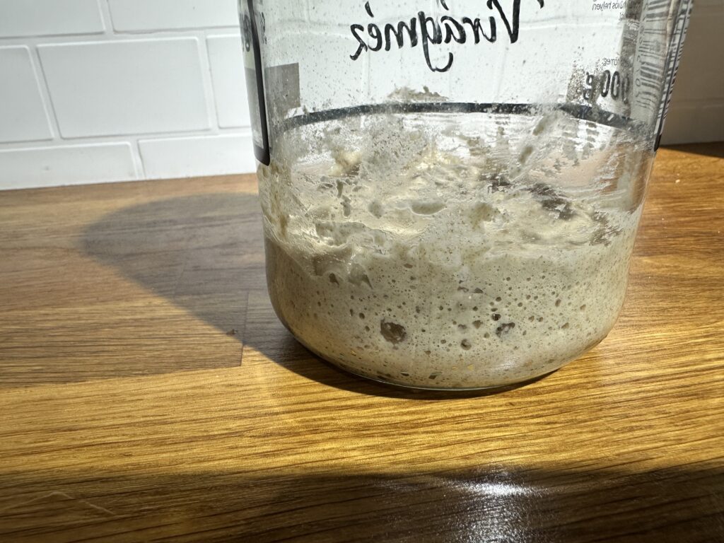 Sourdough starter day 3 with visible bubbles and slight rise
