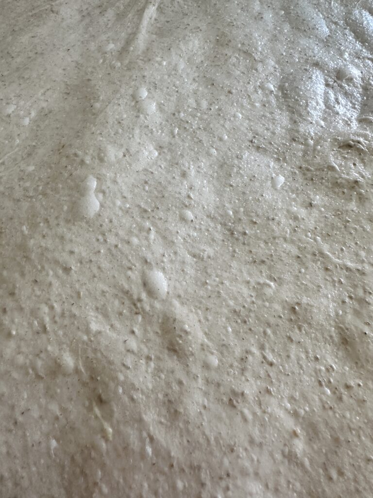 Bubbles forming in sourdough dough during bulk fermentation.