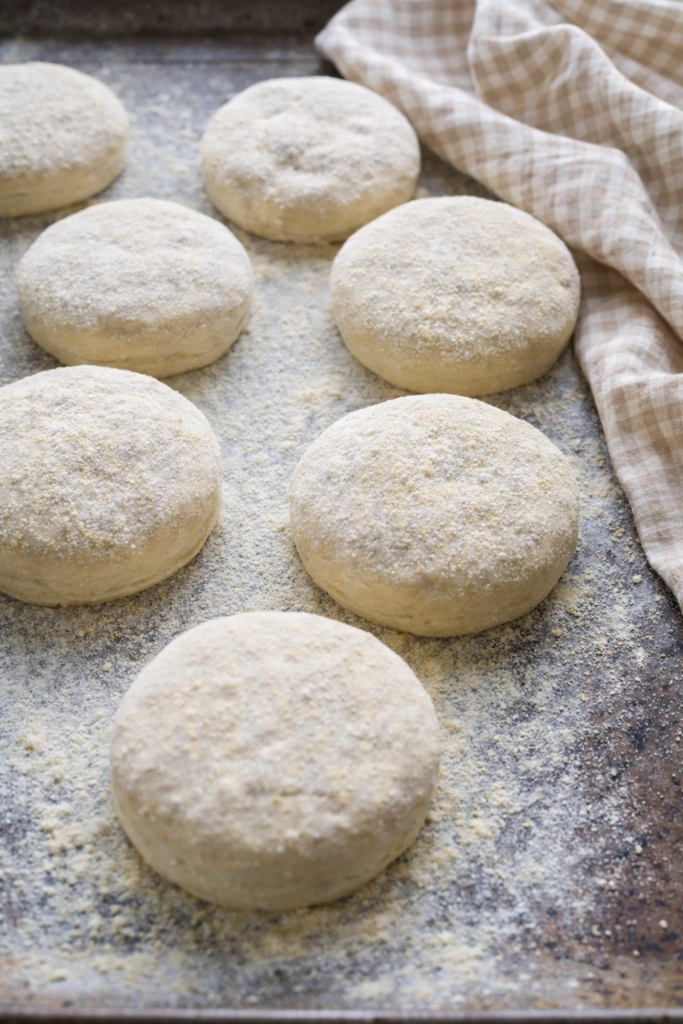 Proofed sourdough English muffins on a cornmeal-dusted baking tray with a beige gingham kitchen towel